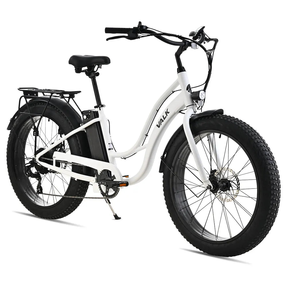 Fat tyre cruiser bikes online