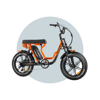 AddMotor Soletan M-66X Electric Bike 500W-750W Samsung Battery 6 Months Free Service
