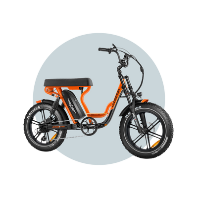 AddMotor Soletan M-66X Electric Bike 500W-750W Samsung Battery 6 Months Free Service