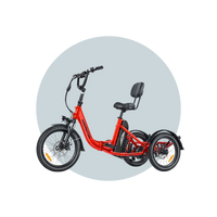Addmotor Citytri E-310 Foldable Electric Trike 6 months Free Service