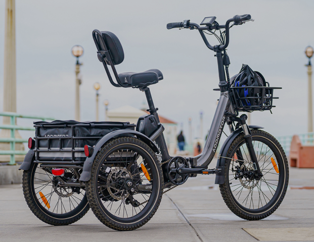 ADDMOTOR CITYTRI E-310