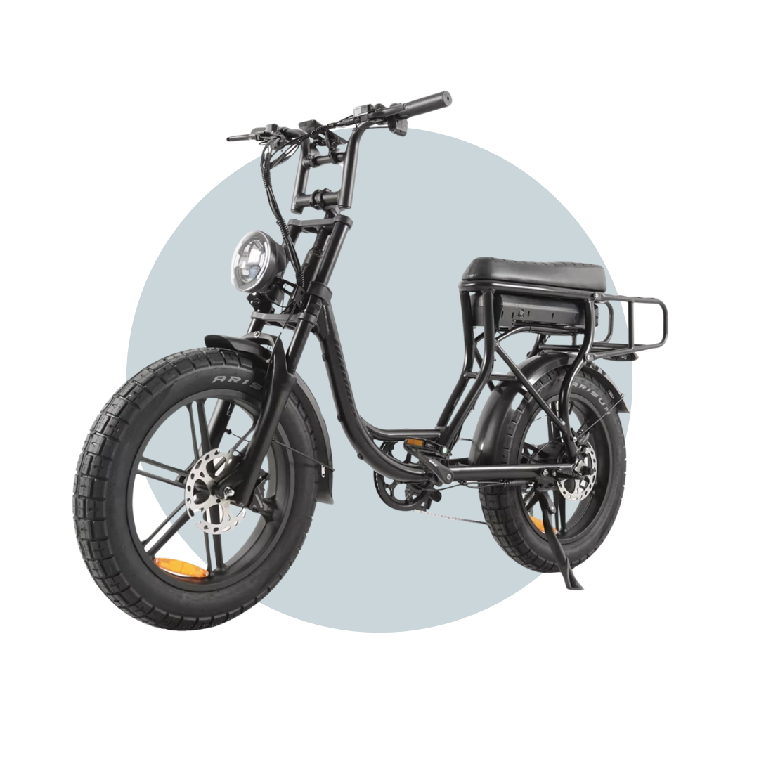 MAMBA SAHARA Step Through eBike 48V16AH 500W E-Mountain Bike Fat Tire