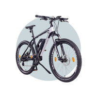 NCM Prague Electric Bike 500W 13Ah Battery 6 Months Free Service