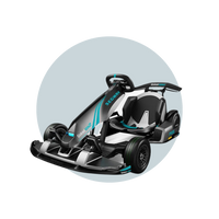 Segway Go Kart PRO 2 Model 2025 6 Months Free Service