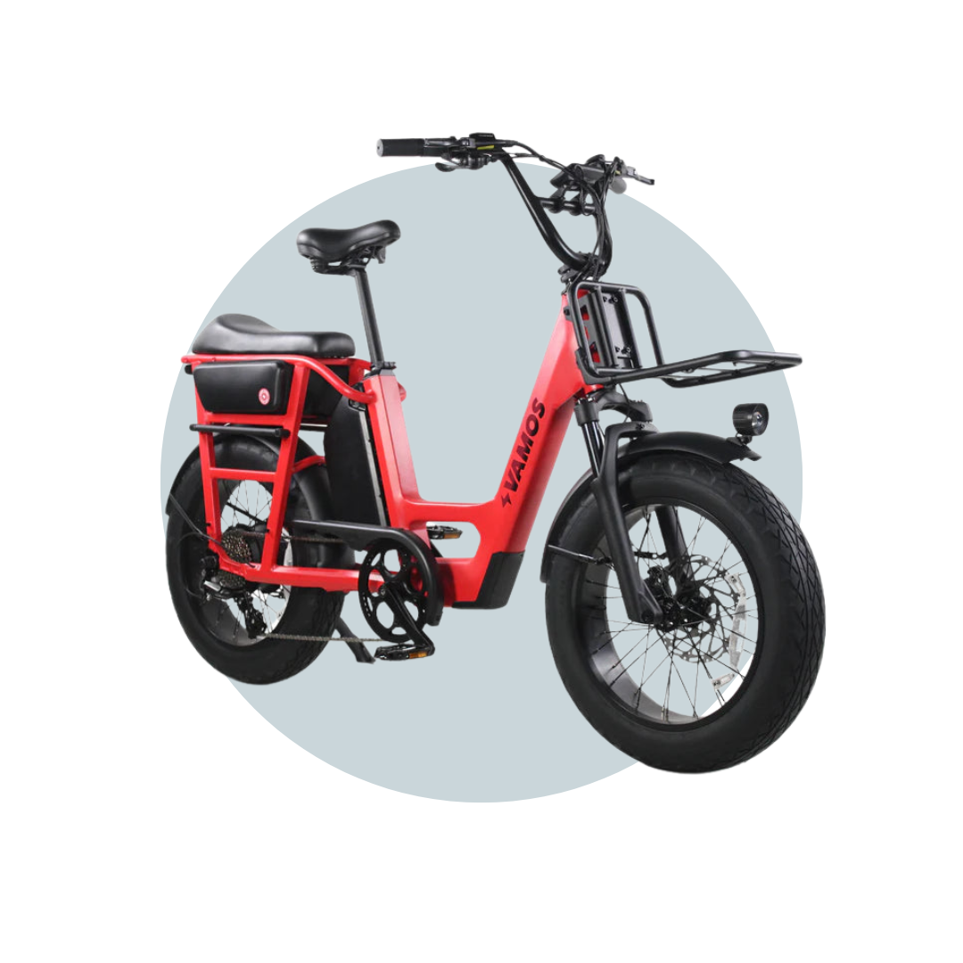 Vamos El Amigo Electric Bike High Quality Components Months Free Ser