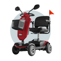 Veloz RapidRide Electric Mobility Scooter For Elderly Silver 6 Months Free Service