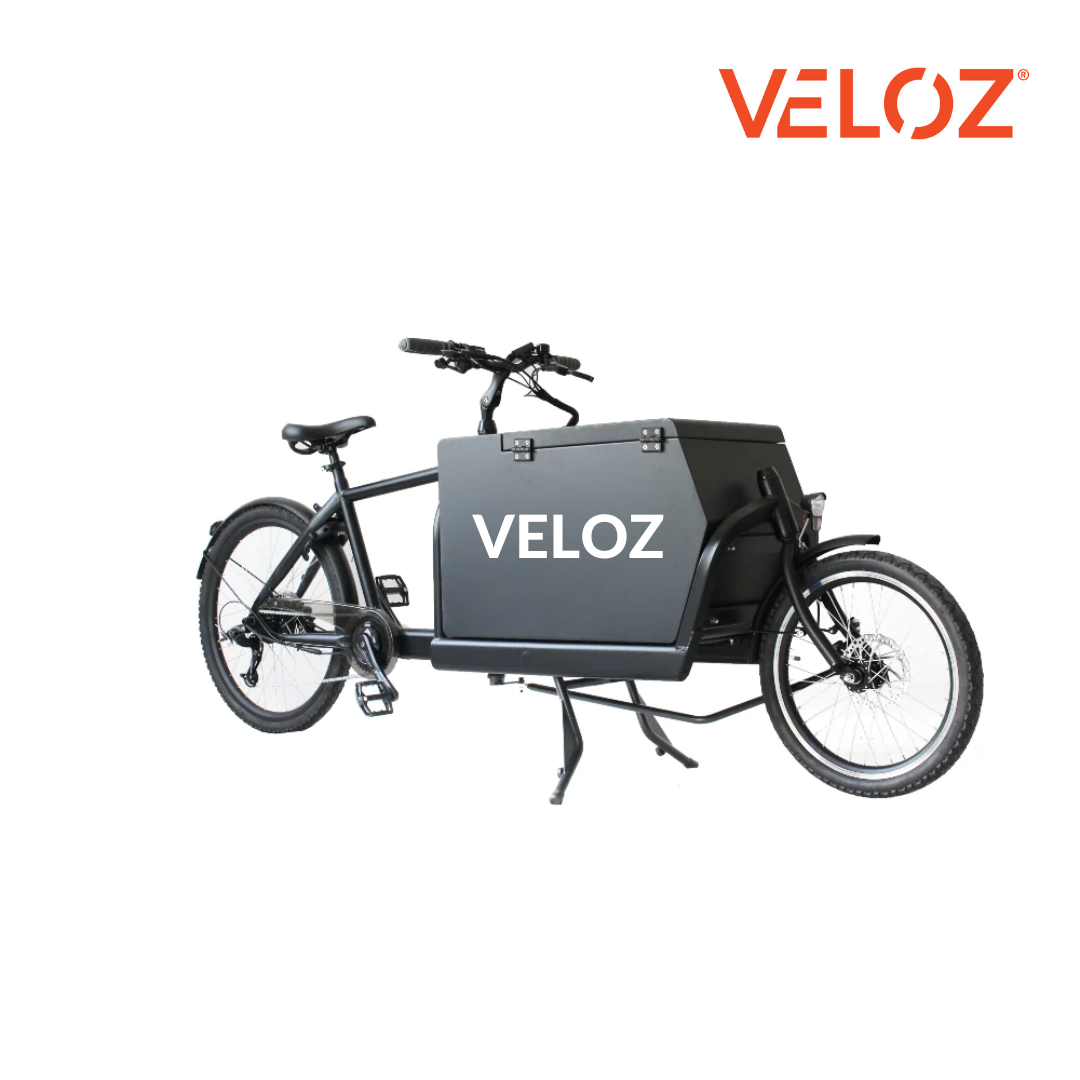 Cargo hot sale bike motor