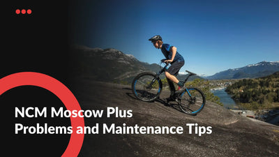 NCM Moscow Plus Problems and Maintenance Tips