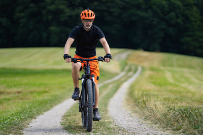 Viper Electric Bikes