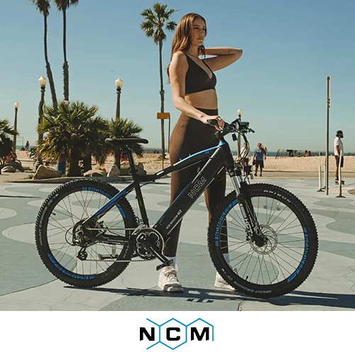 NCM-Valk-Viper Ebikes