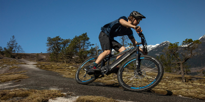 NCM-Valk-Viper Ebikes