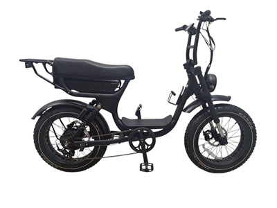 Stepthru e-bike ATV13 All Terrain Future Travel