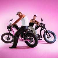 Flight Risk FR666 eBike 6 Months Free Service - PINK