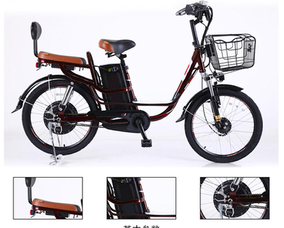 Princess Yachi e-bike Future Travel