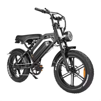 MOTO e-Bike Black Stallion EBS