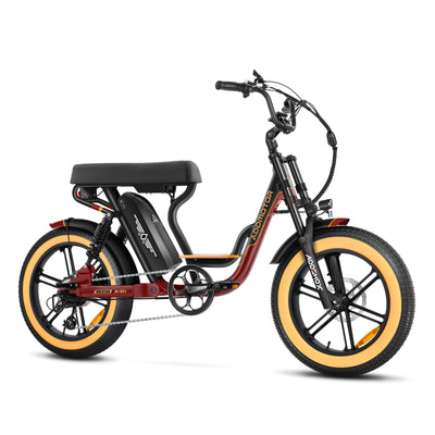 AddMotor Soletan M-66X Electric Bike 750W Samsung Battery 6 Months Free Service