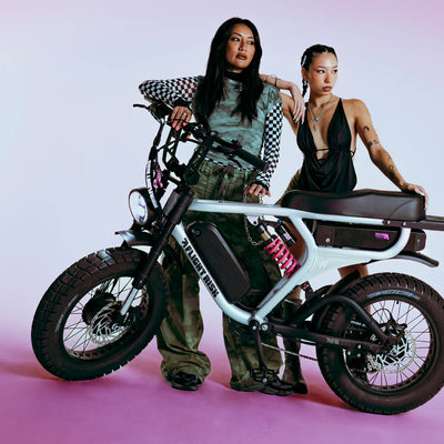 Flight Risk FR777 eBike 6 Months Free Service - SILVER
