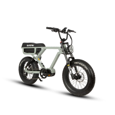 Eunorau Flash eBike 1000W Mid-Motor 16Ah Battery 6 Months Free Service