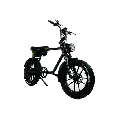 Mamba Sahara 2024 Model with GPS Included 750W 48V17AH Battery 6 months free service