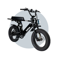 Fatboy Bagus V2 eBike 6 Months Free Service