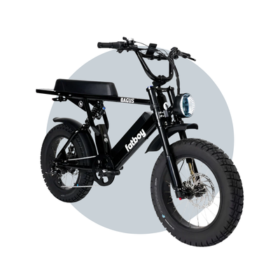 Fatboy Bagus V2 eBike 6 Months Free Service