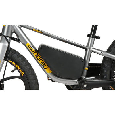 Eunorau EKIDS-20 eBike 250W Motor 10Ah Battery 6 Months Free Service