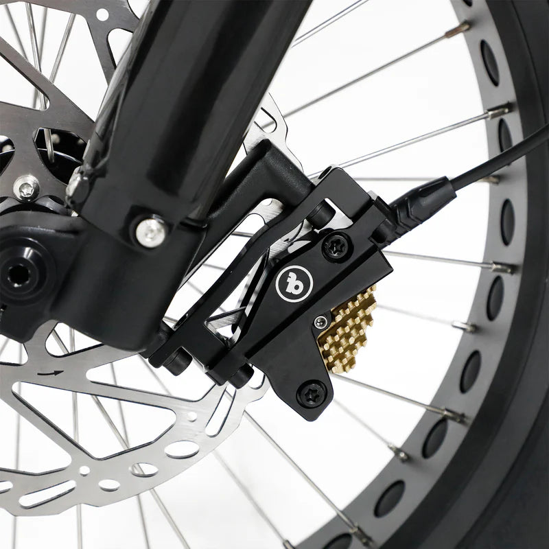 Fatboy The Harlem V3 eBike 6 Months Free Service