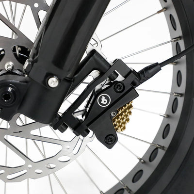 Fatboy The Harlem V3 eBike 6 Months Free Service