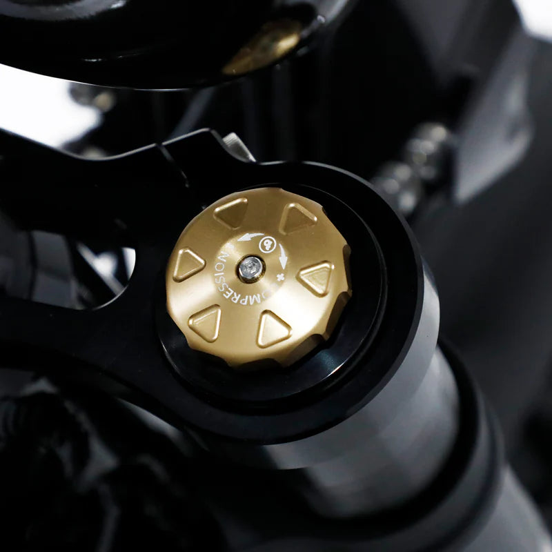 Fatboy The Bagus V3 eBike 6 Months Free Service