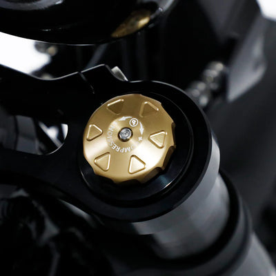 Fatboy The Bagus V3 eBike 6 Months Free Service