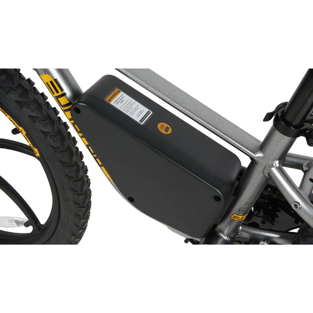 Eunorau EKIDS-20 eBike 250W Motor 10Ah Battery 6 Months Free Service