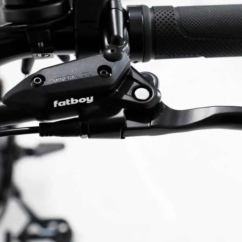 Fatboy The Bagus V3 eBike 6 Months Free Service