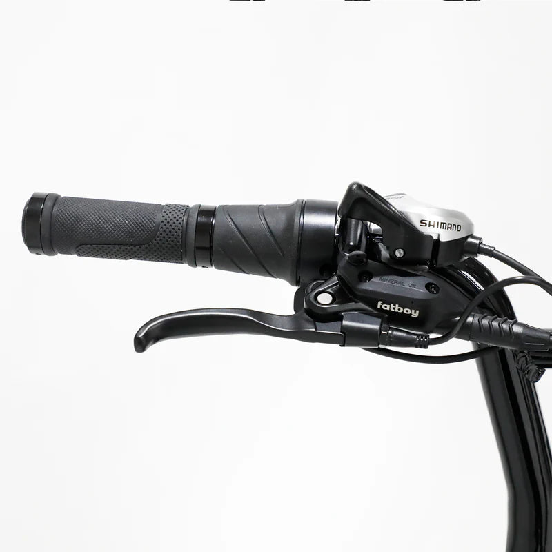 Fatboy The Harlem V3 eBike 6 Months Free Service