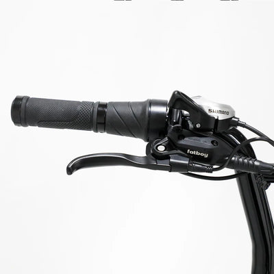 Fatboy The Harlem V3 eBike 6 Months Free Service