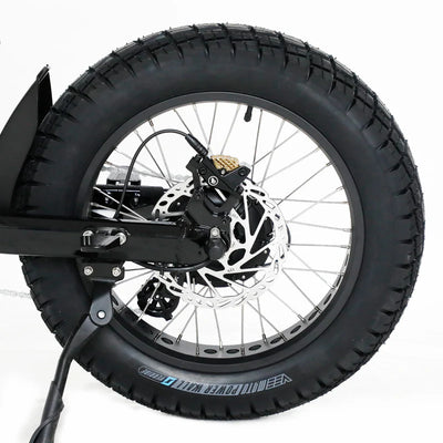 Fatboy The Bagus V3 eBike 6 Months Free Service