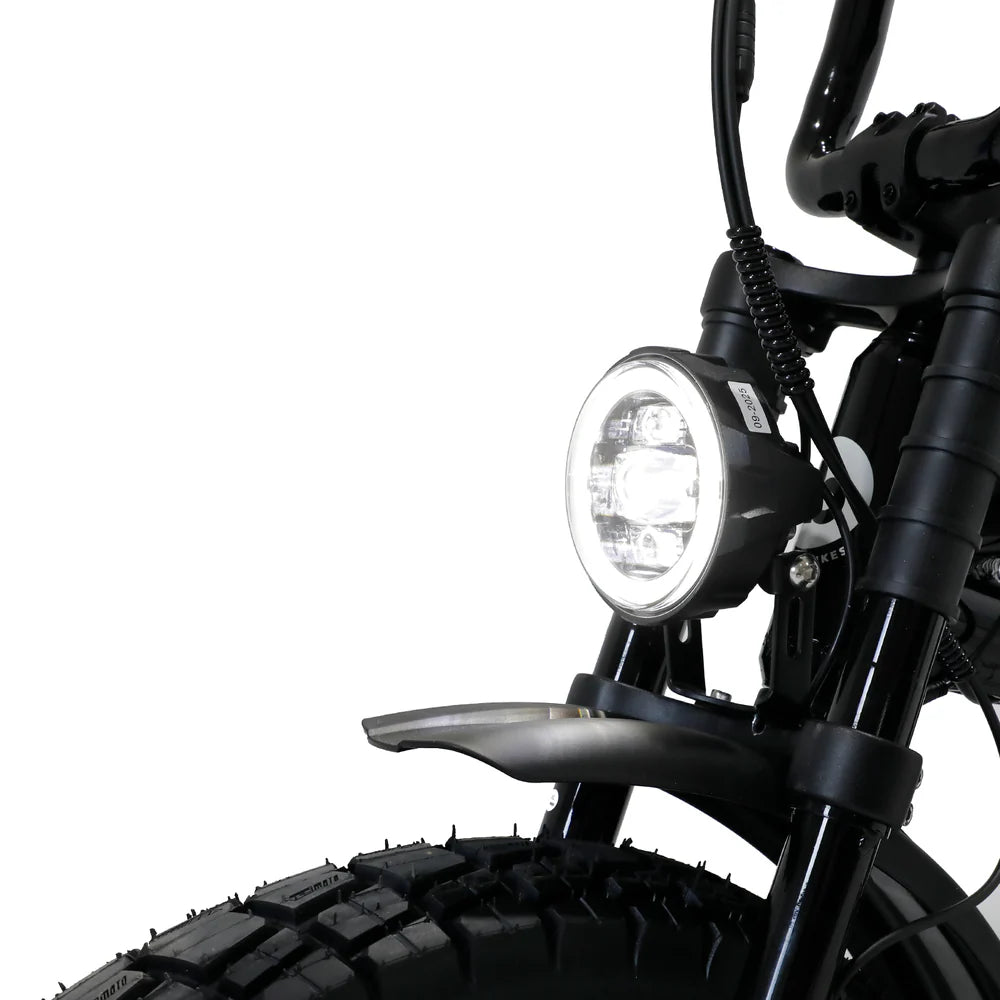 Fatboy The DNA V3 eBike 6 Months Free Service