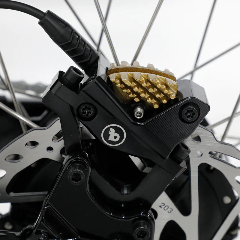 Fatboy The Bagus V3 eBike 6 Months Free Service