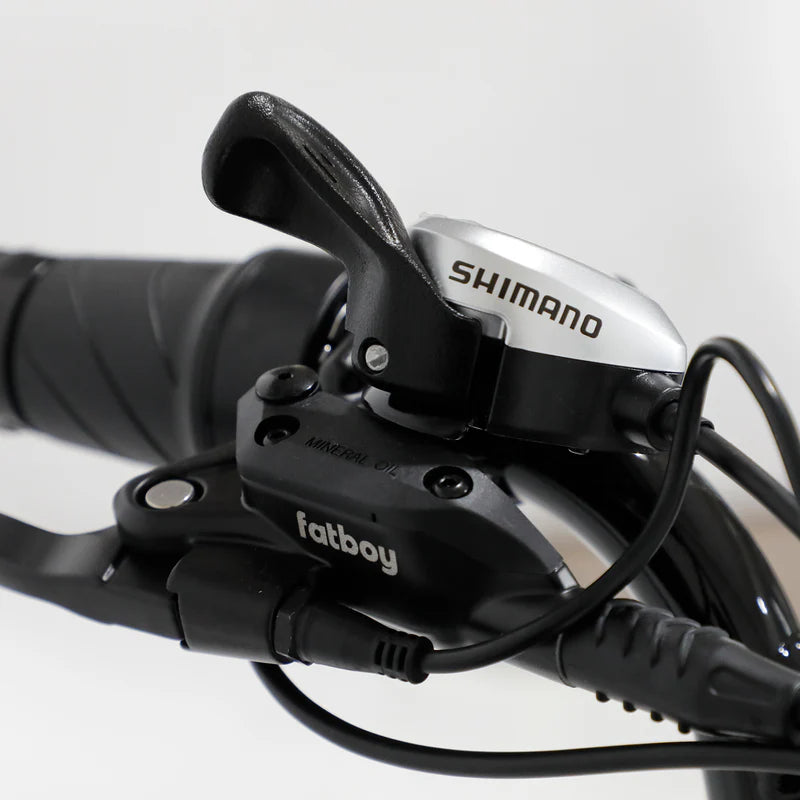 Fatboy The Bagus V3 eBike 6 Months Free Service