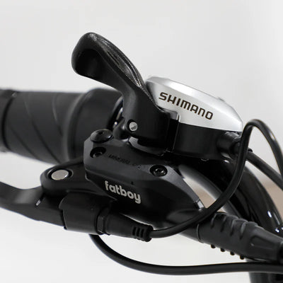 Fatboy The Bagus V3 eBike 6 Months Free Service