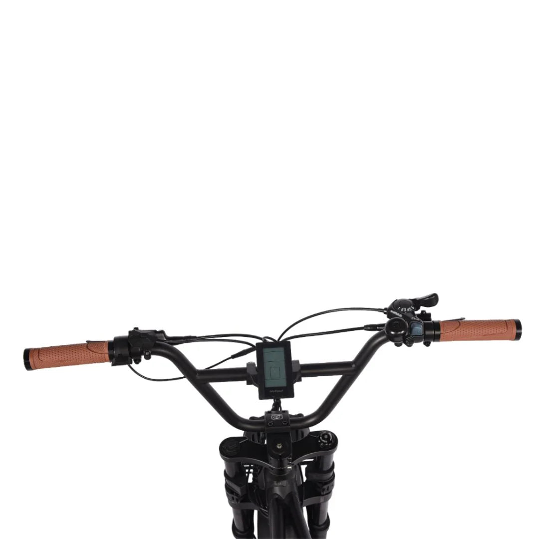 Opera 888 Ebike 20 Ah Battery 80 Nm Torque 6 Months Free Service