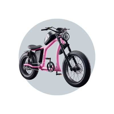 Flight Risk FR666 eBike 6 Months Free Service - PINK