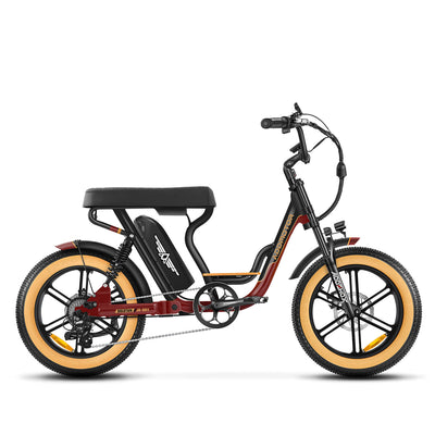 AddMotor Soletan M-66X Electric Bike 750W Samsung Battery 6 Months Free Service