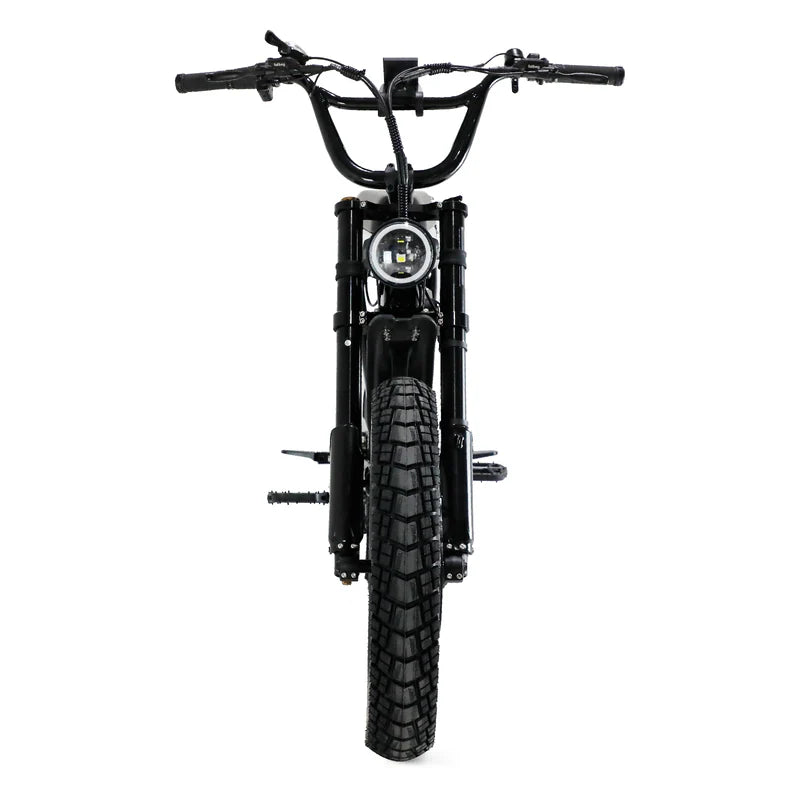 Fatboy The Bagus V3 eBike 6 Months Free Service