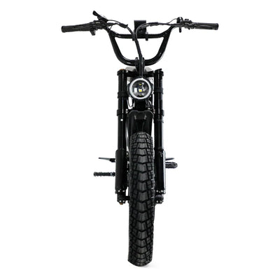 Fatboy The Bagus V3 eBike 6 Months Free Service