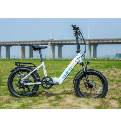 Eunorau META Foldable eBike 250W Motor 15Ah Battery 6 Months Free Service