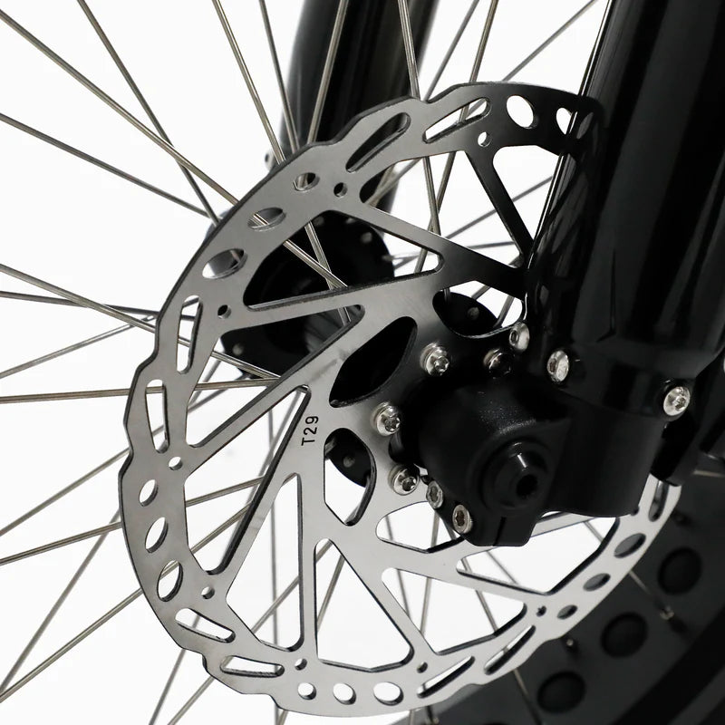 Fatboy The Bagus V3 eBike 6 Months Free Service