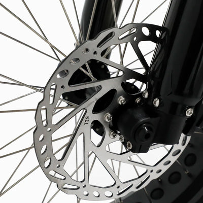 Fatboy The Bagus V3 eBike 6 Months Free Service