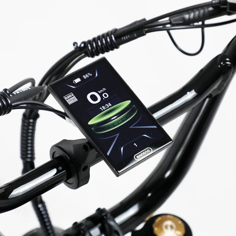 Fatboy The Bagus V3 eBike 6 Months Free Service