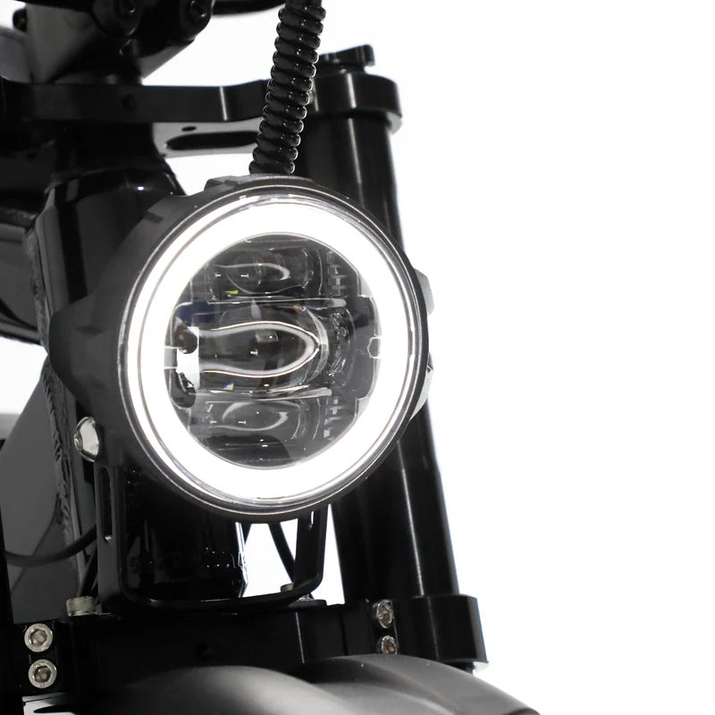 Fatboy The Bagus V3 eBike 6 Months Free Service