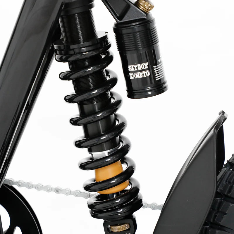 Fatboy The Bagus V3 eBike 6 Months Free Service